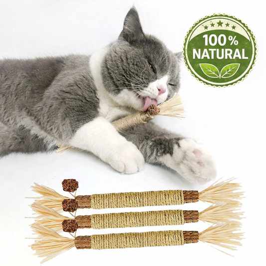 Bâtonnets Silvervine Zikia pour chat - soin dentaire naturel