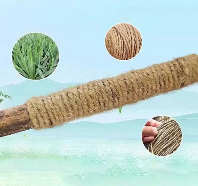 Bâtonnets Silvervine pour Chat — Soin Dentaire 100% Naturel | Zikia