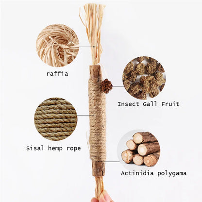 Silvervine Zikia - soin dentaire naturel félin