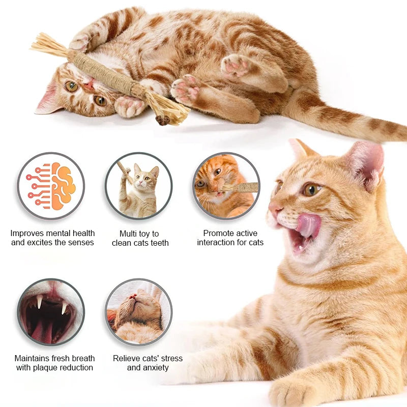 Bâtonnets Silvervine pour Chat — Soin Dentaire 100% Naturel | Zikia